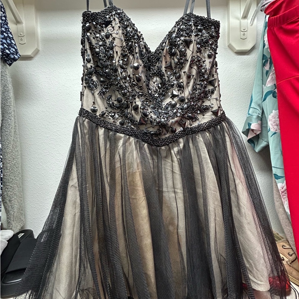 Dave & Johnny Black Dress with Cream Accents